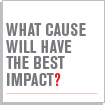 WHAT CAUSE WILL HAVE THE BEST IMPACT?